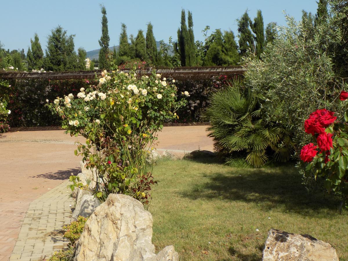 Villa Sorrentina Alghero Buitenkant foto